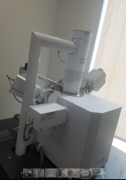 Scanning Electron Microscope with Energy Dispersive Spectrometry (SEM-EDS)