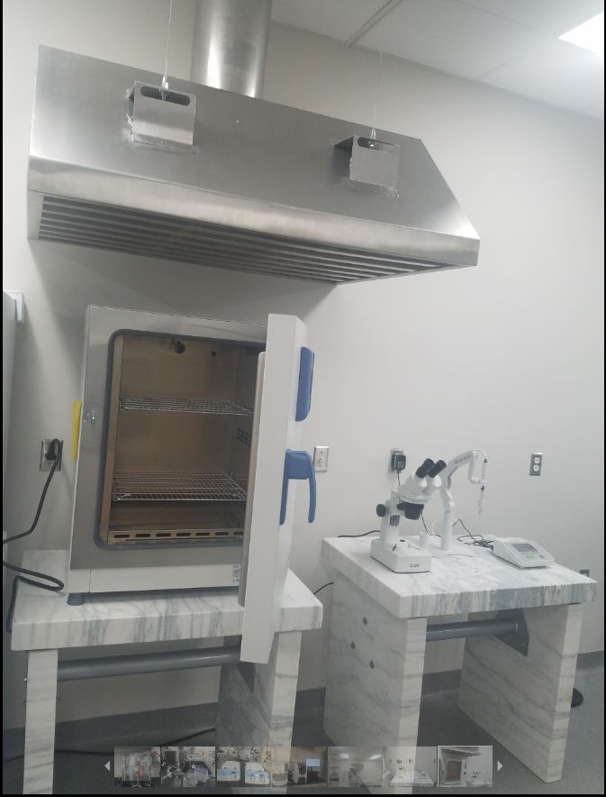 高温烘箱和排气系统