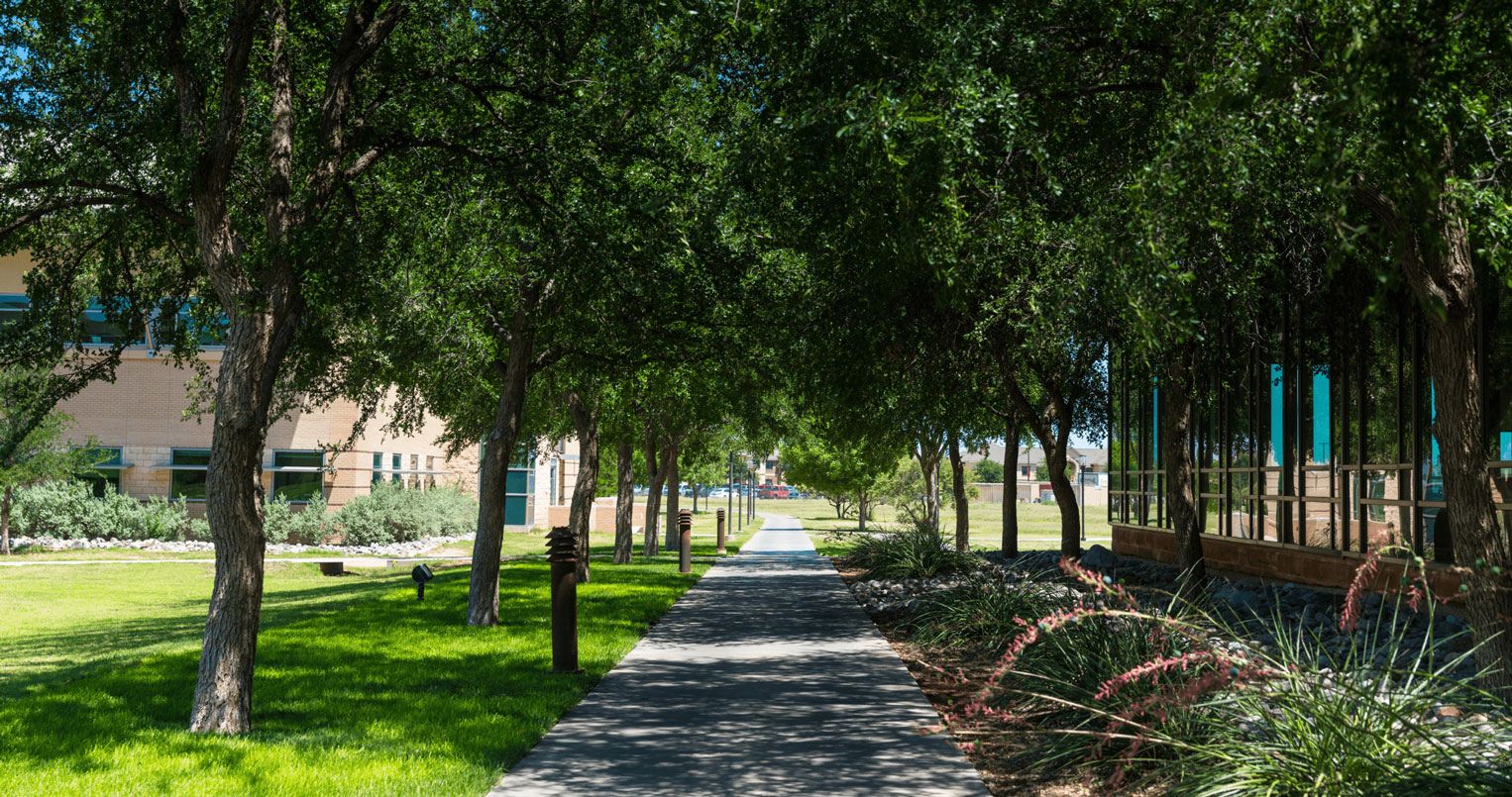 Beauty Shot of Walkway on Campus
