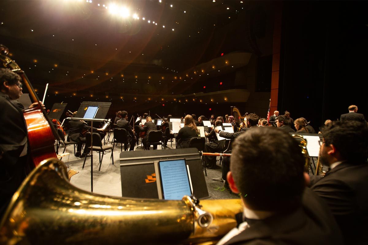 管弦乐队 performance 