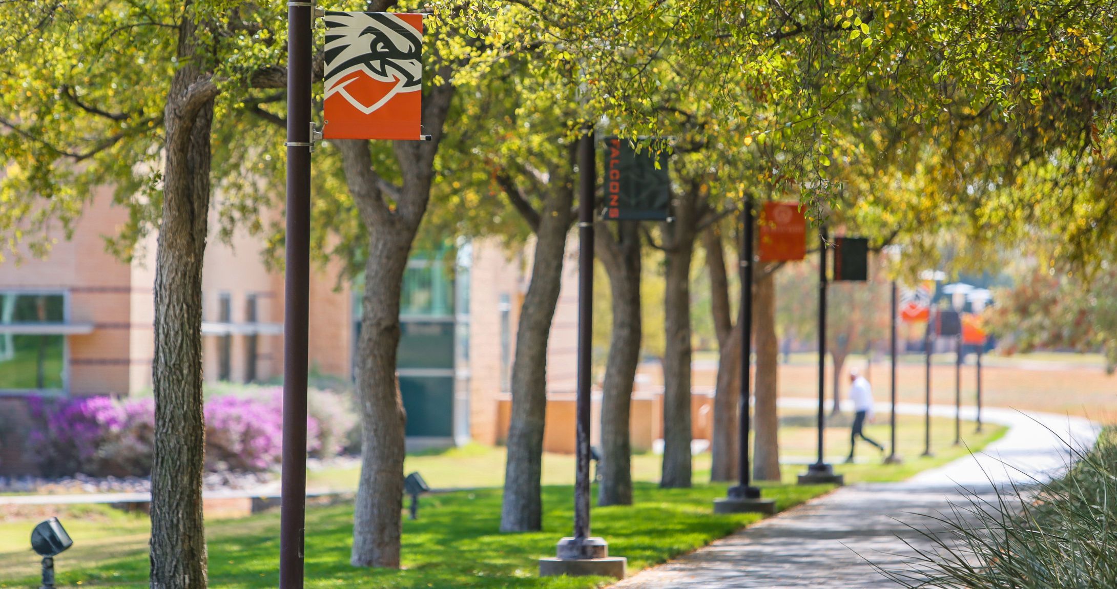 utpb walkway with flags
