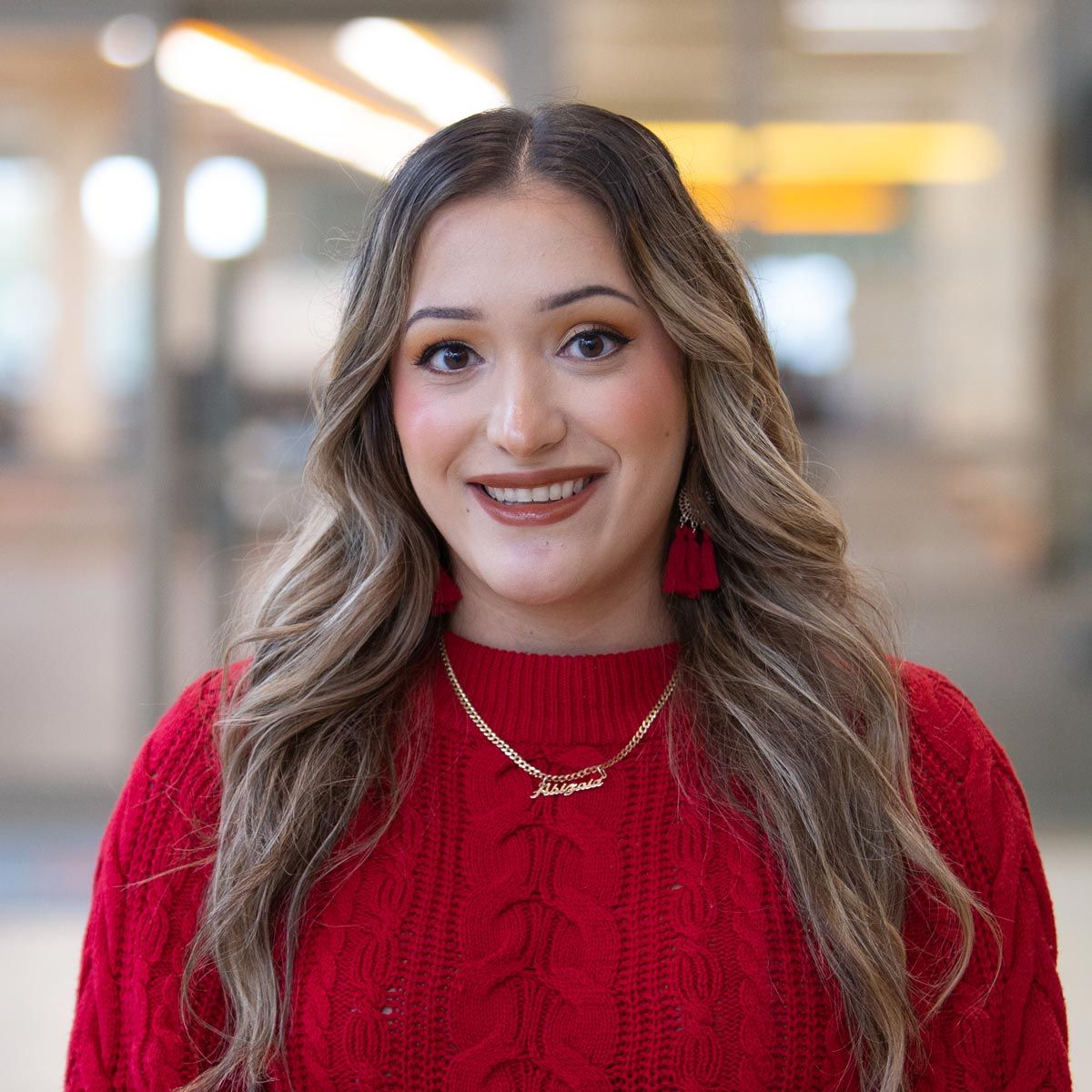 阿比扎伊德Ayala