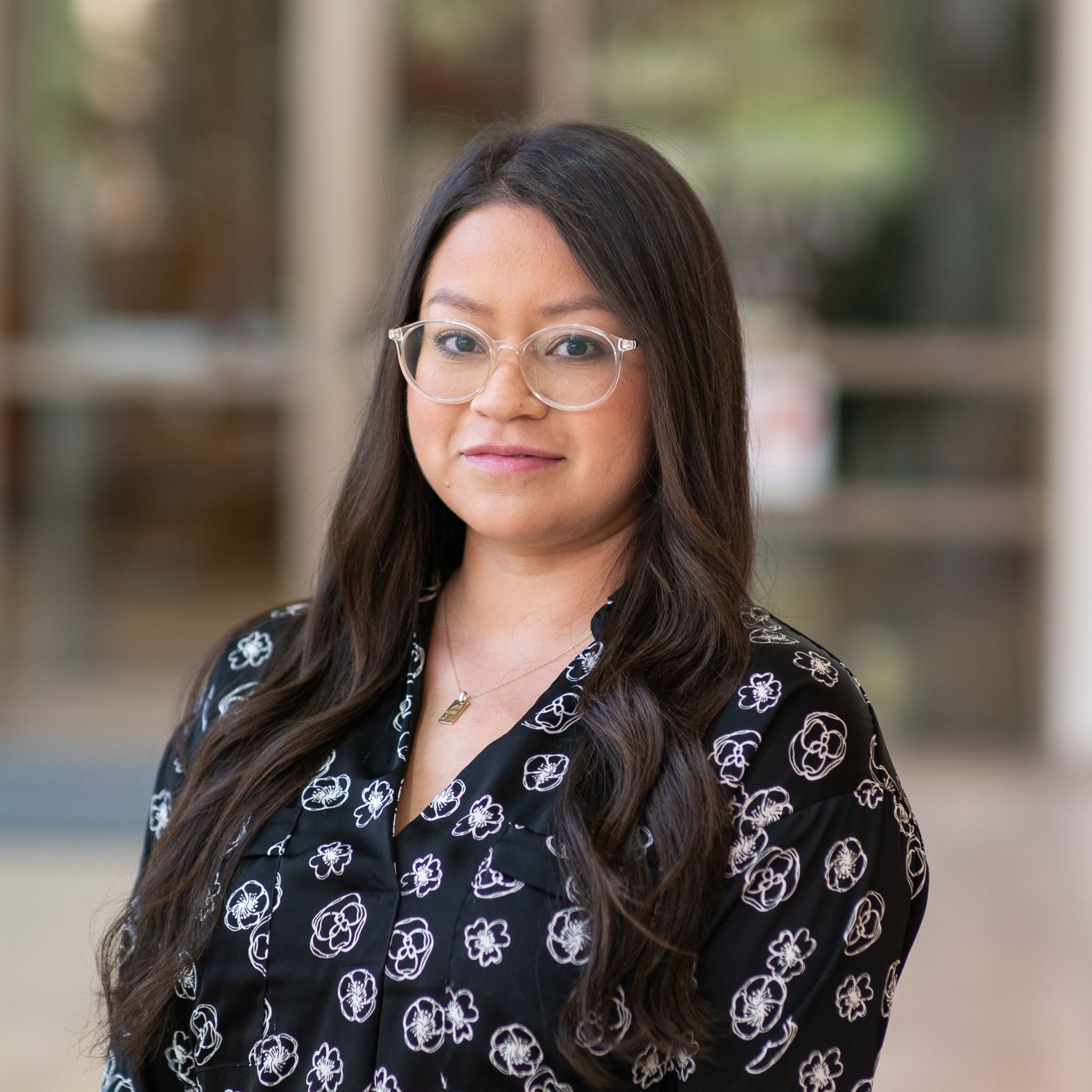 米尔扎·帕尔多·洛佩兹