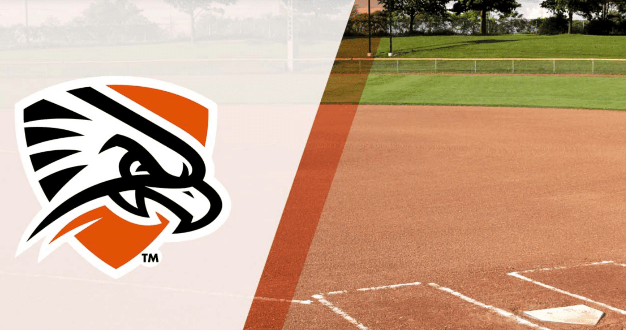 Image of softball field